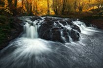 Vue panoramique sur la rivière qui coule sur les rochers dans la forêt, Irlande — Photo de stock