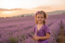 Девушка стоящая на лавандовом цветочном поле на закате — стоковое фото