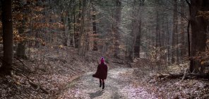 Девушка, идущая по пути через осенний лес — стоковое фото