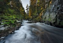 Malerischer Blick entlang des Flusses pattack mit felsigen Ufern, die in Wald, UK, Schottland fließen — Stockfoto