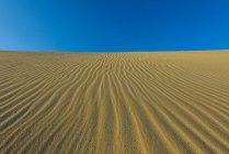 Мальовничий вид на піщані дюни в пустелі — стокове фото