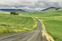 Scenic view of winding country road, Palouse, Washington, USA — Stock Photo