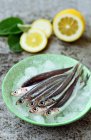 Fresh raw european anchovies on ice, tasty look — Stock Photo