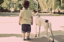 Visão traseira do menino andando com o cão ao ar livre — Fotografia de Stock