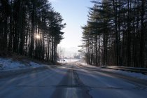 Vista panoramica della strada alberata in inverno — Foto stock