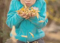 Primo piano di ragazzo soffiando foglie autunnali — Foto stock