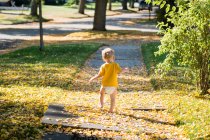 Vista trasera del niño bebé caminando a través de hojas de otoño en la acera - foto de stock