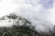 USA, Washington State, Mount Rainier National Park, veduta panoramica di basse nuvole sulla vetta delle montagne — Foto stock