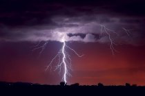 Scenic view of lightning striking a tree, Arlington, Arizona, USA — Stock Photo
