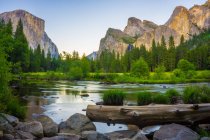 Vue sur la vallée du parc national Yosemite avec El Capitan et Bridalveil Falls derrière Merced River, Californie, États-Unis — Photo de stock