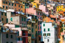 Traditional colorful italian houses, Manarola, Cinque Terre, Italy — Stock Photo