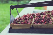 Fresh Strawberries in baskets at farmers market — Stock Photo