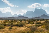 Живописный вид на пустынный ландшафт, Национальный парк Биг-Бенд, Техас, США — стоковое фото