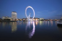 Illuminated trees with London Eye on fone at night, Великобритания, Англия, Лондон — стоковое фото