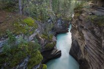 Vista panoramica del fiume che attraversa la gola, Alberta, Canada — Foto stock