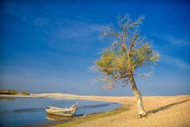 China, Xinjiang, Altay, Irtysh River, Rowboat and lone tree on shore of still lake — Stock Photo