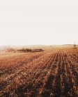 Vista cênica de campos dourados de colheitas — Fotografia de Stock