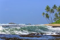 Живописный вид на пляж Ганди, Шри-Ланка — стоковое фото