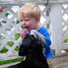 Ritratto di ragazzo ridacchiante che gioca con il cane — Foto stock