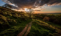Scenic view of path into sunset, UK, England, Yorkshire — Stock Photo