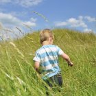 Vista trasera del niño corriendo a través del campo de trigo - foto de stock