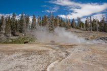 Vapor sobre fontes termais, Parque Nacional de Yellowstone, Wyoming, América, EUA — Fotografia de Stock