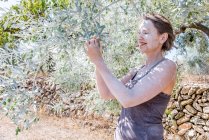 Усміхнена жінка перевіряє органічні оливки в саду — стокове фото