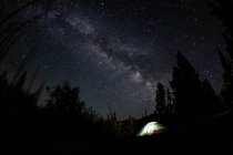 Vista panorámica del camping en la fascinante noche estrellada en el bosque - foto de stock