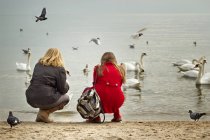 Дві дівчини-підлітки на пляжі дивляться на птахів — стокове фото