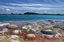 Vista panorámica de stromatolites en la piscina del hamelin, Australia, Australia occidental, bahía del tiburón, reserva natural marina - foto de stock