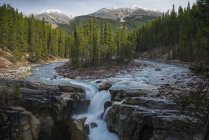 Vista simétrica da paisagem com cachoeira, floresta e montanhas, Canadá, Alberta, Sunwapta Falls — Fotografia de Stock