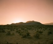 Закат в пустыне Моджаве, США, Калифорния — стоковое фото