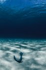 Unter Wasser Blick auf Anker im Sand — Stockfoto