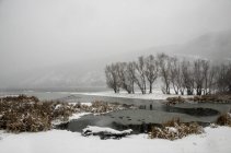 Vista panorâmica da paisagem de inverno com água congelada e nevoeiro — Fotografia de Stock