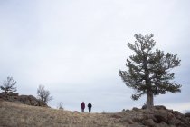 Vue lointaine des personnes marchant sur la montagne — Photo de stock