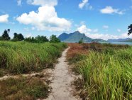Malasia, Sabah, Camino a la montaña de la isla - foto de stock