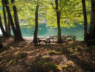 Scenic view of trees on a riverbank, Yedigoller, Turkey — Stock Photo
