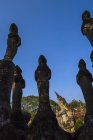 Vista panorámica de las estatuas en Buddha Park, Laos - foto de stock
