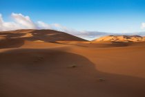 Живописный вид песчаных дюн в пустыне Сахара, Марокко — стоковое фото