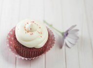 Червоний оксамитовий кекс зі збитими вершками та квіткою — стокове фото