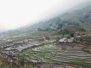 Vietnam, Lao Cai Province, Sa Pa, Landscape of typical vietnamese agriculture — Stock Photo
