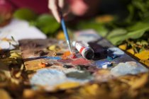 Close-up view of Person painting outdoors — Stock Photo
