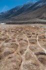 Paesaggio soleggiato nella regione di Chanthang durante i mesi invernali, India, Regione Ladakh — Foto stock