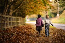 Задний вид брата и сестры, идущих вместе на опавших осенних листьях в парке — стоковое фото