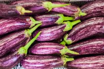 Fresh tasty eggplants on display, top view — Stock Photo