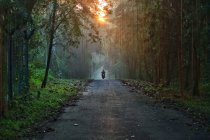 Man on motorbike on forest road at sunrise, Indonesia, Banten, Serpong — Stock Photo