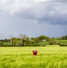 Вид сзади мальчика, стоящего в поле с вытянутыми руками — стоковое фото