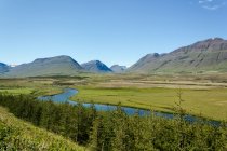 Iceland, Eyjafjordur, Landscape with mountains, river and pine trees — Stock Photo