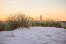 Vue panoramique sur le phare au coucher du soleil, De Cocksdorp, Noord-Holland, Hollande — Photo de stock