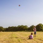 Two cute little boys in field flying kite — Stock Photo